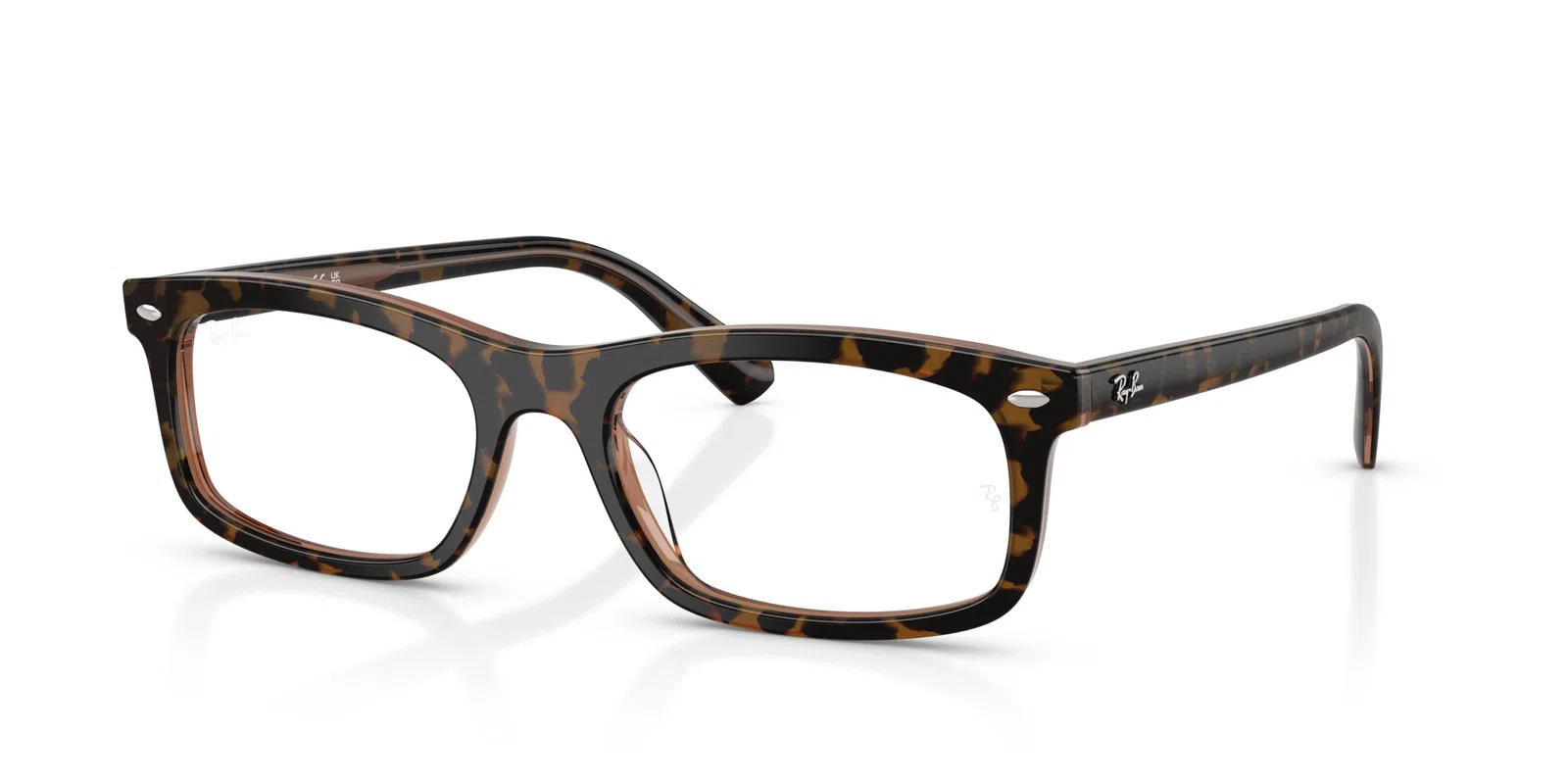 Ray-Ban 5450 Eyeglasses - view 4